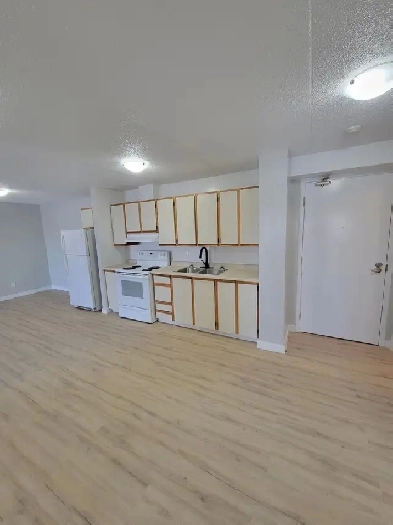 2 Bedroom available Jan 1st in Monnow Lake Image# 2