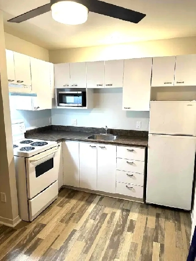 ST-JÉRÔME PETIT 3 1/2 à 1 080$ SEMI-MEUBLÉ, CHAUFFÉ, WIFI ! Image# 6