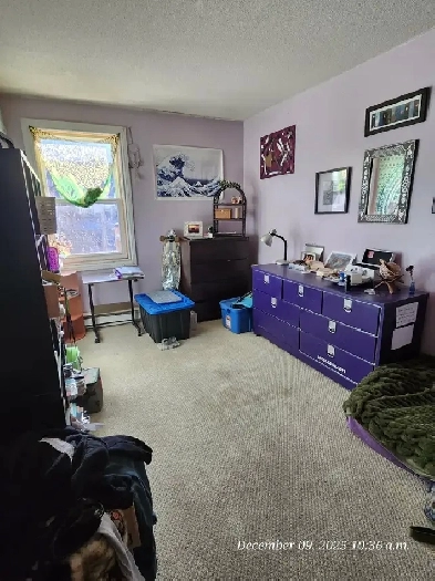 private room for rent Image# 1