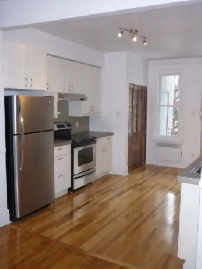 Plateau Mont-Royal, charmant 4 1/2 rénové/renovated Image# 3