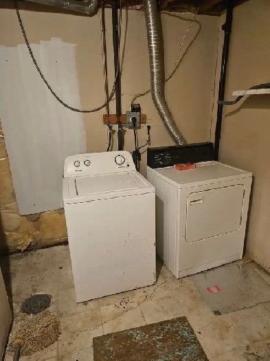 Basement for rent Image# 6