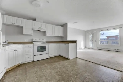 One bedroom condo for rent in South Terwillegar RIGHT AWAY Image# 3