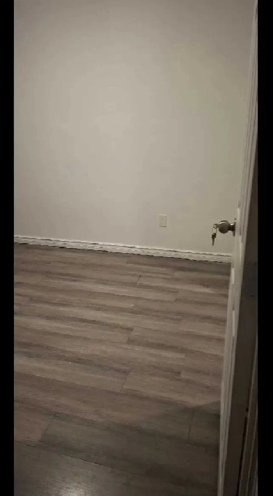 LEGAL BASEMENT SUITES Image# 2