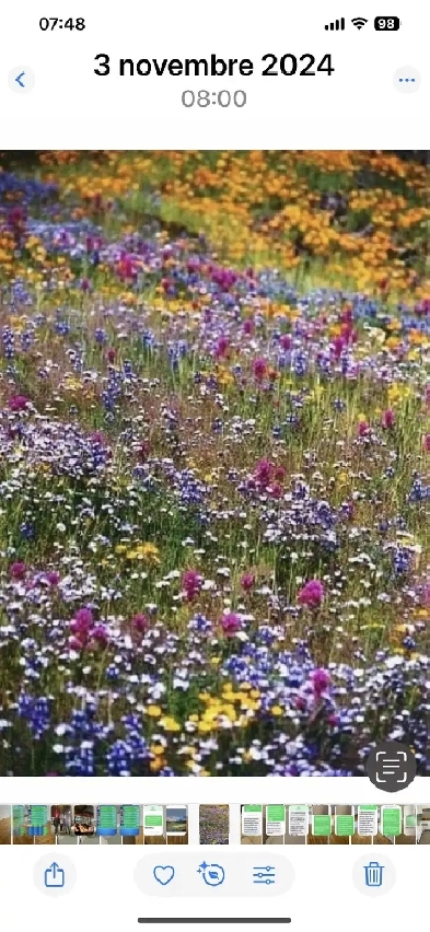 Entreposage à louer Ahuntsic Image# 1