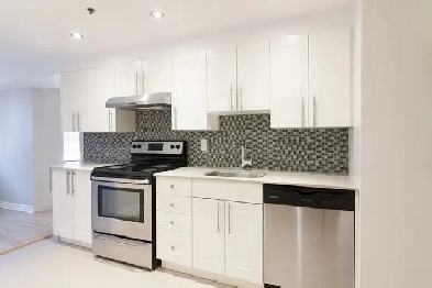 renovated two-bedroom apartment for rent near Peel - ID 1039 Image# 6