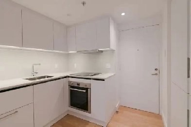 renovated modern one bedroom apartment near McGill - ID 2039 Image# 8