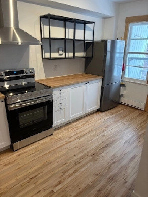 ✨ 3 ½ à louer – Rosemont (Masson / 3e Avenue) – 1 550 $/mois ✨ Image# 5