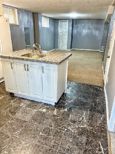 Bright 1 1 Walkout Basement Apartment  Thornhill