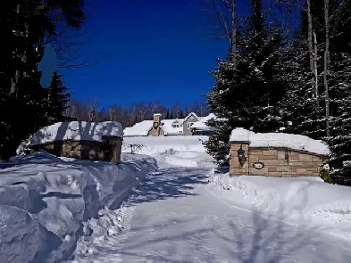 GREAT INVESTMENT Domain 57 Acres NEW Image# 7