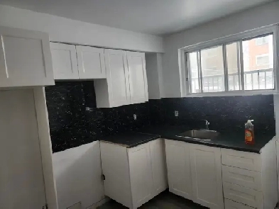 4 1/2, HOCHELAGA-MERCIER, 1175.00$, PRÈS MÉTRO HONORE-BEAUGRAND Image# 5