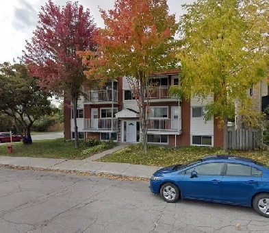 Appartement 1 chambre Image# 4