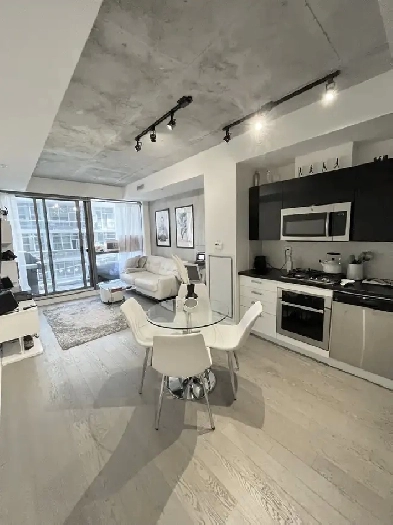 Furnished 1 Bed Condo - For rent by Owner Image# 2