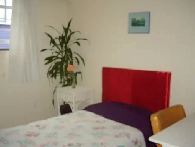 Seek VEGETARIAN for parkside room in family home Image# 2