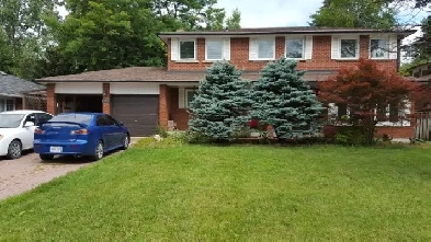 MAIN - 785 Gorham St., Newmarket (Gorham / College Manor)$2,860 Image# 4