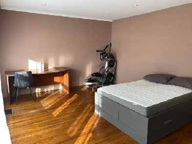 $980-Cozy Room for Rent in Steeles/Bathurst Image# 8
