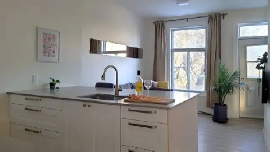 Super Suny Top-FL downtown apt, Renovated,Furnished,All included Image# 7