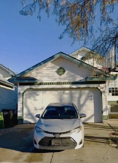 3Beds 2 baths Main floor only Image# 9