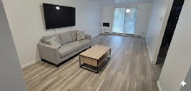 South End 1BR Apartment – $1300, All-Inclusive, Near U of M Image# 4