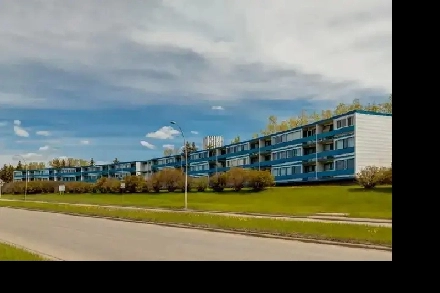 Renovated 1BR apt near Foothills Hospital, SAIT and  U of C Image# 5