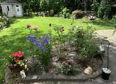 A large bedroom & parking near UTM for rent Image# 3