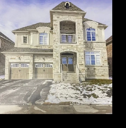 House for Rent Image# 6