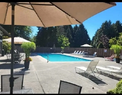 Spacious 2 br apartment with huge fenced and private deck Image# 5