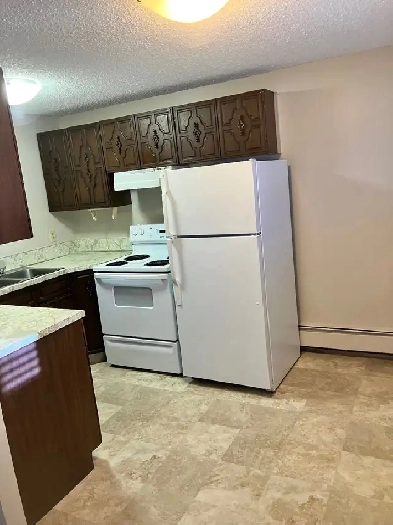 Sask 1 bedroom available Jan 1st Image# 7