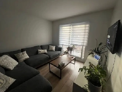 POINTE-AUX-TREMBLES 4 1/2 À LOUER Image# 3