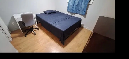 STUDIO / 2 1/2 Et Chambres - À LOUER Montréal (Metro Frontenac) Image# 4