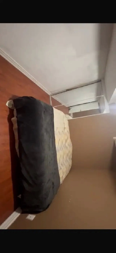 1 bedroom in large Basment for rent Image# 1