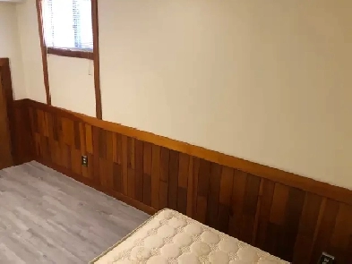 Bright Quiet basement room Yorkdale mall Hwy 401 Subway TTC Image# 4