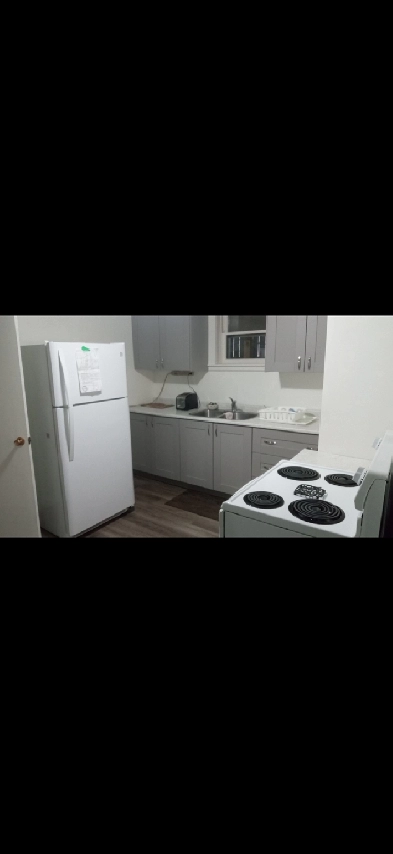 Basement apartment 2 bedroom Image# 3