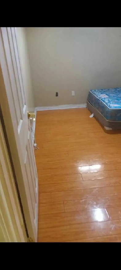 Private Room in Basement $700 Image# 1