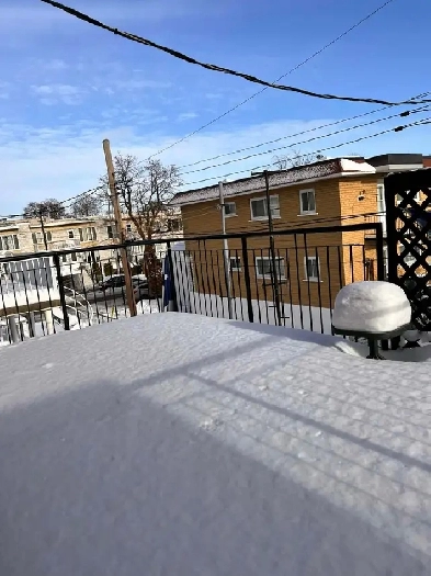 A louer 5 1/2 Image# 4