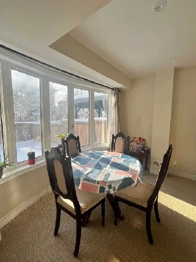 Fully furnished sunlight filled house on ground floor for rent Image# 6