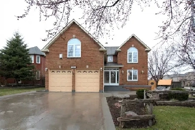 Spacious basement apartment near Mississauga Square 1 available! Image# 7