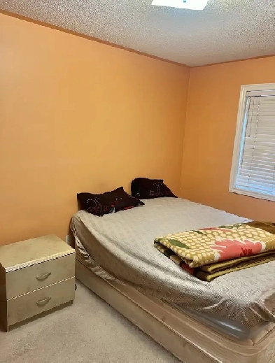 Room for rent- Brampton Image# 1