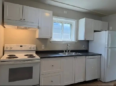 NEW 5-6 BEDROOM- CARLETON U - ALGONQUIN- CARLETON HEIGHTS- MAY 1 Image# 2