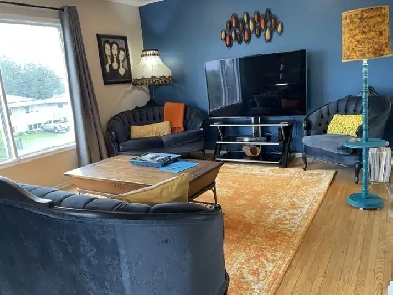 large 2 bedroom furnished apartment Image# 7