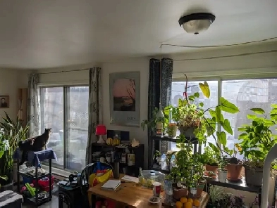 4 ½ - $1325 – Mars 2026 – MTL/Pointe-aux-Trembles Image# 1