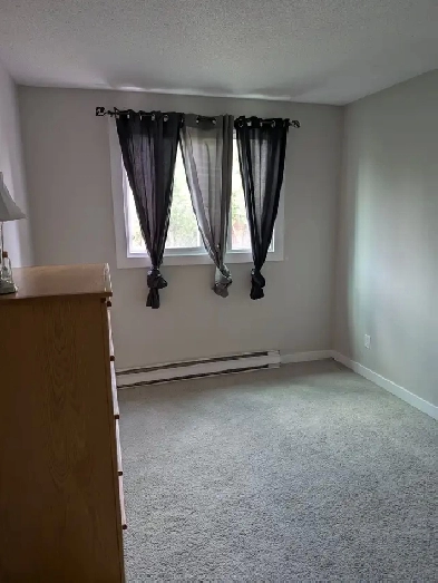 LOOKING FOR A ROOMMATE Image# 10