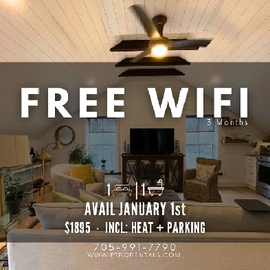 LUXURY 1 Bdrm Loft Apt  I  Renovated - Free Wifi  I  MUST SEE❗️ Image# 6