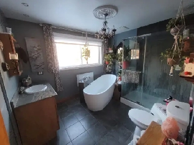 LAVAL-DES-RAPIDES, 1900 $, super 7 et demi! Image# 5