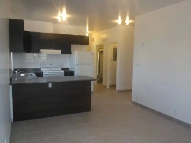 3 Bedrooms apartment for Rent in Downtown Ottawa Image# 4