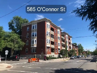 1 Bedroom Glebe Apartment for Rent (585 O'Connor St) Image# 10