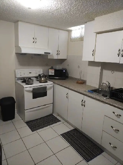 Move In Ready 2BR Fully Furnished Bsmt Apt-Near UTSC,Centennial Image# 2