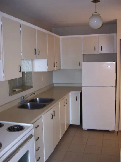 Apartment for Rent Image# 4