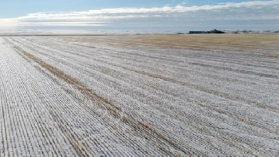 NEW LISTING AVAILABLE!  8 Quarters | Kayville, SK Area Image# 6