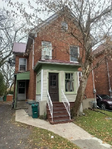Renovated basement Apt near Queens University Image# 2