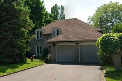 Renovated All Inclusive 2 Bedroom Basement Apartment for Rent Image# 10